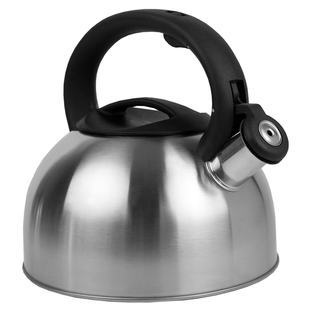 Home Basics 2.5 Liter Brushed Stainless Steel Whistling Tea Kettle
