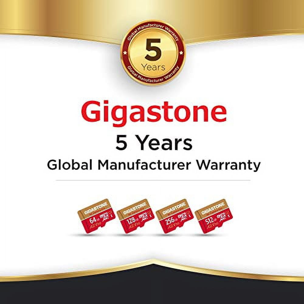 Gigastone 64GB 2-Pack Micro SD Card, 4K Camera Pro for GoPro, Security Camera, Wyze, DJI, R/W up to 95/35MB/s MicroSDXC Memory Card UHS-I U3 A2 V30 - GS-2IN1-4KA2V30-64GBX2-R