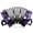 Purple, variant on Concertinas,20-Key Accordion for Adults, Professional Accordion for Beginners, Adjustable Hand Straps, Instrument Accessories (Purple)