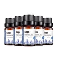 thumbnail image 3 of Aroma Huile Naturelle Aromathérapie 10ml Humidificateur, 3 of 3