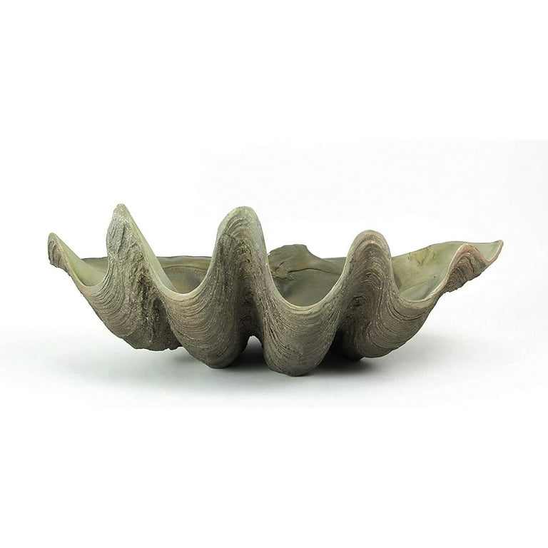 Resin giant clam shell bowl online