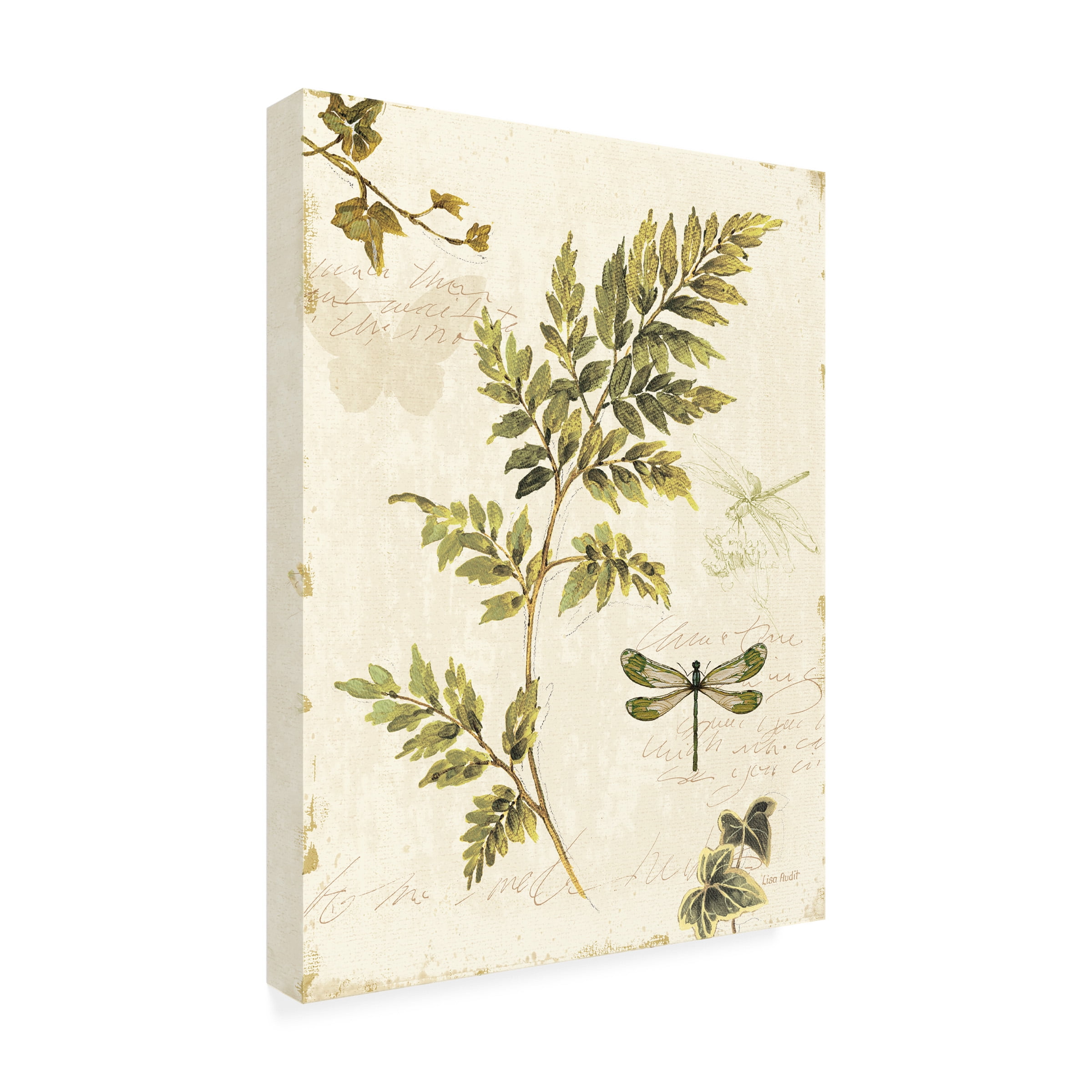Trademark Fine Art Lisa Audit Ivies and Ferns III Canvas Wall Art - 35x47