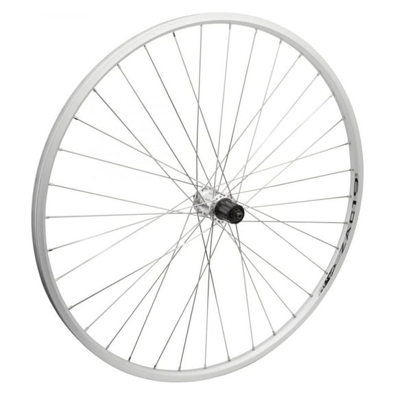 Wheel Master 700c Rear Wheel - Quick-Release, 36H, 8-Speed Cassette Hub, Silver/Silver/Steel