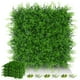 thumbnail image 1 of Paneles de pared de césped EverNature, helecho artificial, 6 unidades, 1 of 7