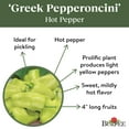 thumbnail image 4 of Burpee Organic Greek Pepperoncini Hot Pepper Vegetable Seed, 1-Pack, 4 of 5