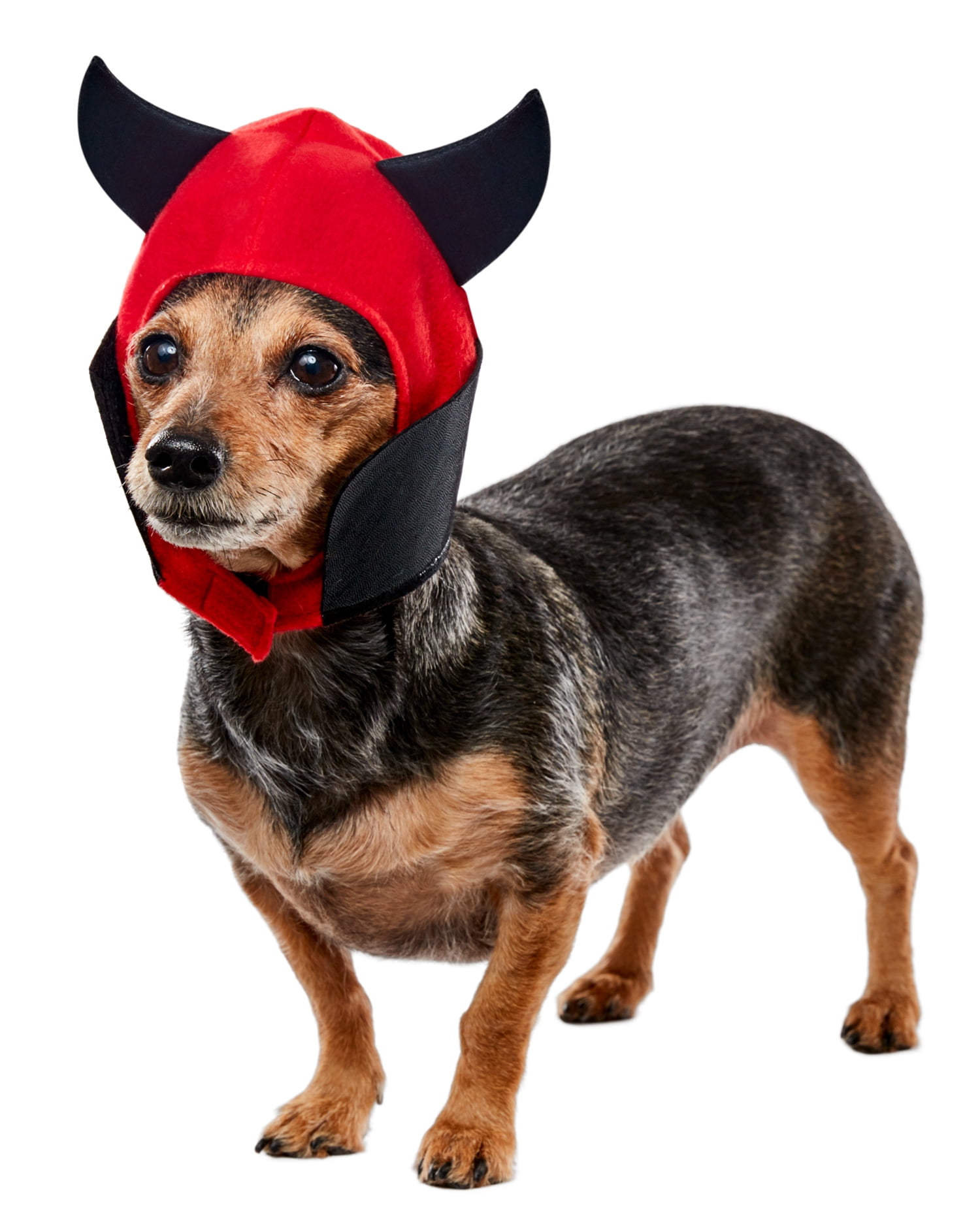 dachshund devil costume