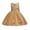 Khaki, variant on Bnwani Girls Long Dresses Girls Toddler Long Mesh Party Gown Skirt Girl Embroidery Net Yarn Dresses 2-3T