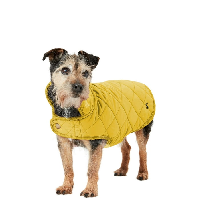 Joules top dog jacket