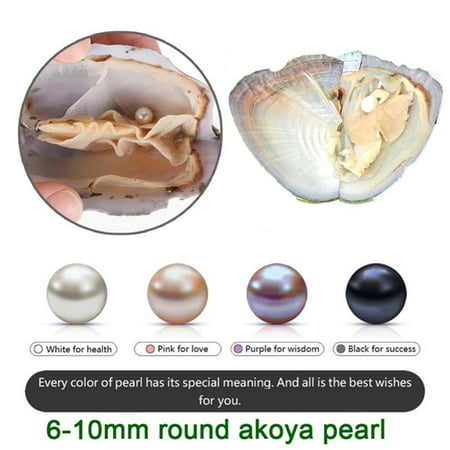 Vacuum package freshwater pearl small mussel river clam pearl one clam ...