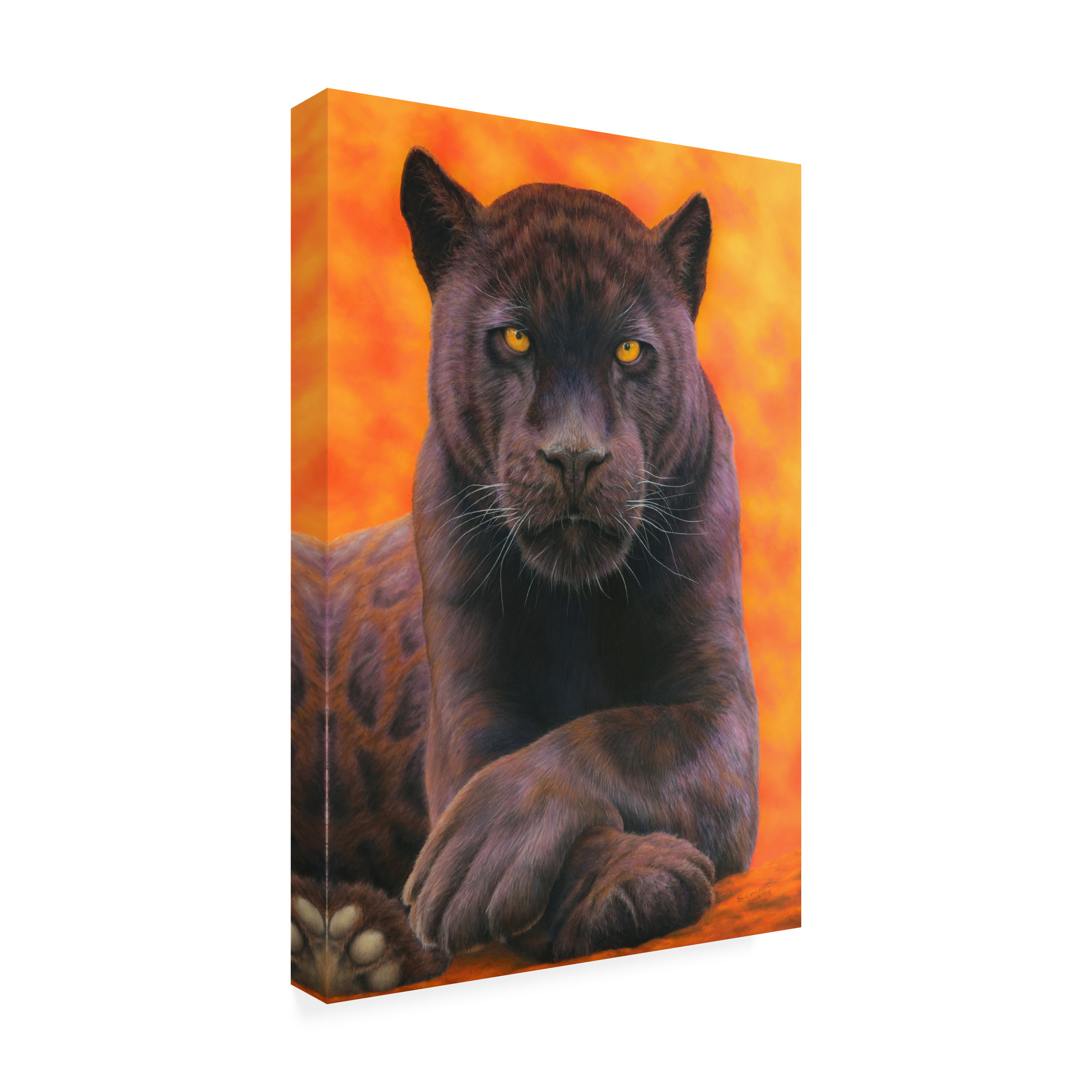 Steve Crockett 'Black Jaguar' Canvas Art
