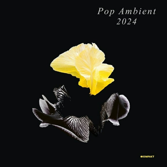 Various Artists - Pop Ambient 2024 - Music & Performance - CD