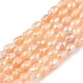 thumbnail image 2 of 1 strand Natural Cultured Freshwater Pearl Beads Strands Rice PeachPuff 2.5~4.5x1.5~2.5mm Hole: 0.5mm 79~81pcs/strand 13.78 inch(35cm), 2 of 5