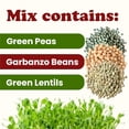 thumbnail image 5 of Rainbow Sprouting Beans Mix, 1 Pound — Kosher, Sproutable — by Food to Live, 5 of 8