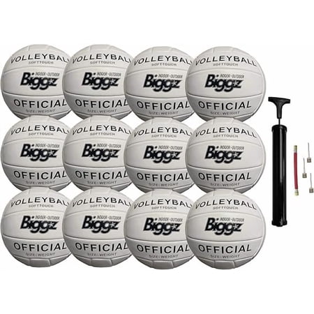 Biggz (Pack of 12) Volleyballs - Soft Touch Leather - Indoor/Outdoor with Pump