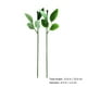 thumbnail image 2 of 40 piezas de tallos de rosas artificiales bricolaje arreglo floral tallo floral con hojas, 2 of 5