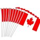 thumbnail image 1 of Banderas canadienses pequeñas de 14 x 21 cm, 10 unidades, con astas de plástico (Nc011_Lucky_B), 1 of 4