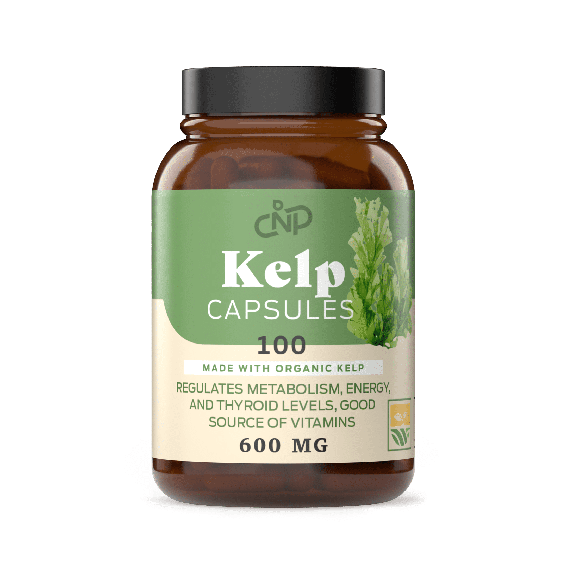 Organic Kelp Capsules 600mg Capsules 100 Pills Powdered Raw Sea