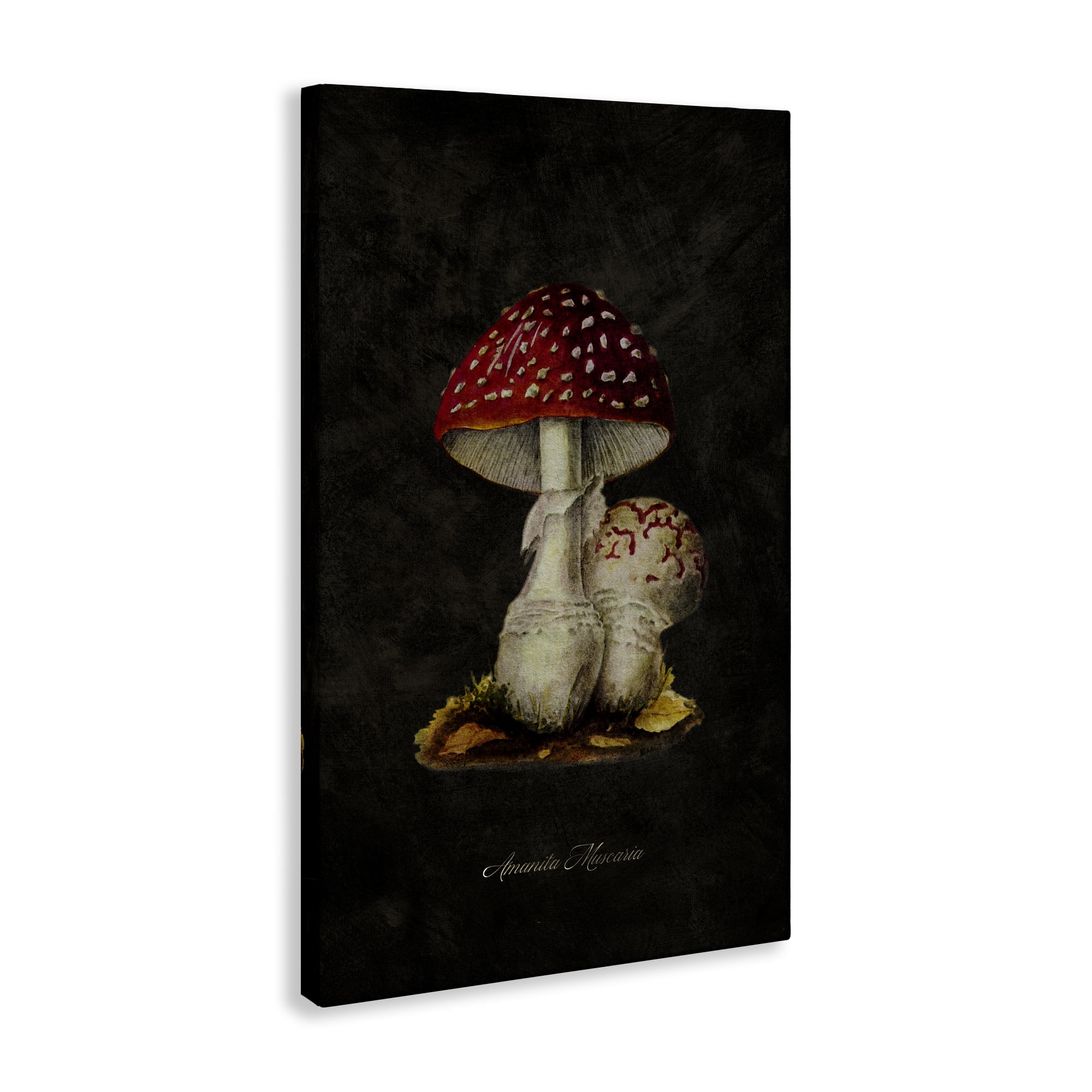 Stupell Industries Rustic Mushroom Pair Plants & Flowers Painting Wrapped Canvas Art Print Wall Art, 20 x 30