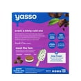 Yasso Frozen Greek Yogurt Mint Chocolate Crunch Bars, 4 Count