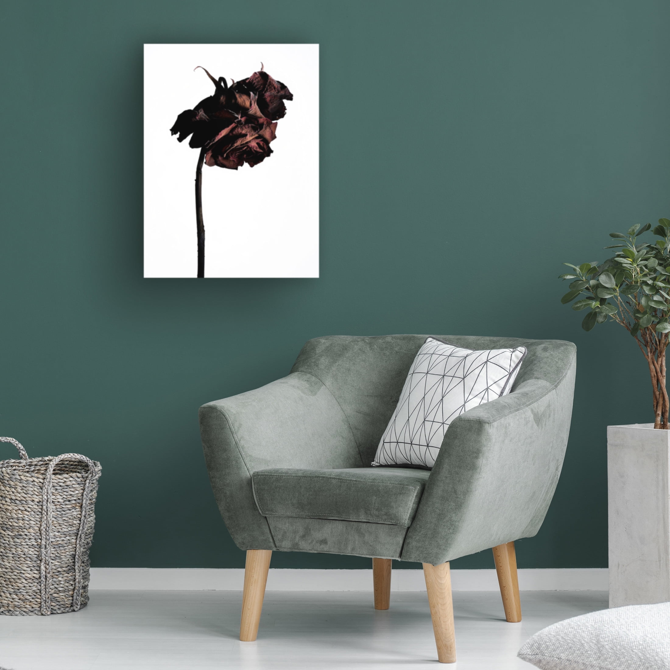 Trademark Fine Art Shiro Miyake  dried flower Canvas Wall Art