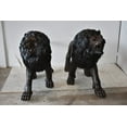 thumbnail image 3 of A Pair of Large Lions Walking Side by Side Bronze Statues Size: 24" x 60" x 41"H, 3 of 12