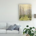 thumbnail image 3 of Trademark Fine Art 'Delicate Forest I' Canvas Art by Megan Meagher, 3 of 4