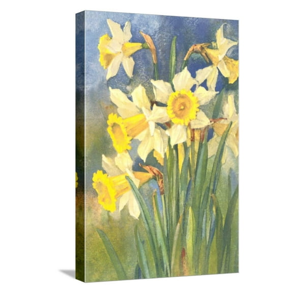Art.com Daffodils Stretched Canvas Print Wall Art, 12" x 18"