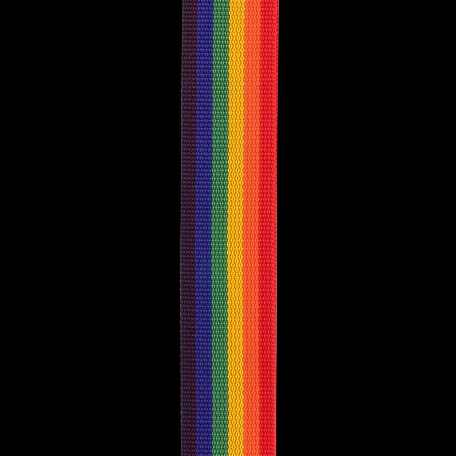 D'Addario Auto Lock Polypro Guitar Strap, Rainbow