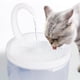 thumbnail image 2 of Fuente de agua para gatos, dispensador de agua para perros y mascotas, flujo fresco automático Hy, 2 of 5