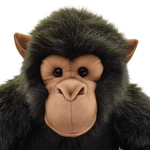 chimp teddy