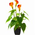 thumbnail image 1 of Artificial Flower Plants Calla Lily Faux Potted Plant, 1 of 5
