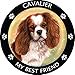 thumbnail image 3 of Cavalier King Charles Cocker Spaniel My Best Friend Magnet, 3 of 3