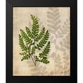 thumbnail image 2 of Butler, John 12x14 Black Modern Framed Museum Art Print Titled - British Ferns VI, 2 of 5