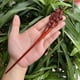 thumbnail image 2 of Horquilla antigua tallada en madera de sándalo rojo lobular, placa para el cabello, artesanías de madera pulida a mano, regalos antiguos de caoba, 2 of 6