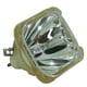 Remplacement de la Lampe de Projecteur Original Philips pour Sanyo PLC-XU38 (Ampoule Seulement) – image 2 sur 5