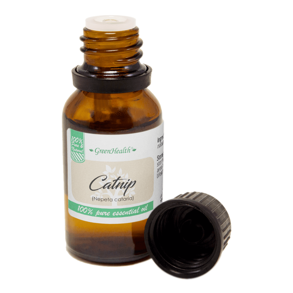 GreenHealth Catnip Essential Oil – 15 ml | Amber Glass Euro Dropper | For Aromatherapy, DIY Potpourri, Herbal Sachets & Home Fragrance Blends