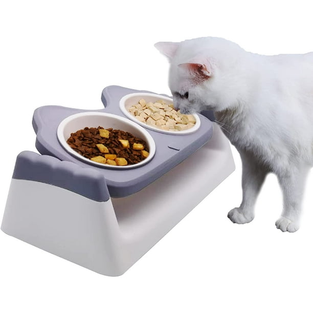 Hamiledyi Elevated Cat Food Bowls, Raised Cat Feeder 15° Tilted Cat Food and Water Bowl NonSkid