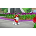 thumbnail image 3 of PAW Patrol: Everest - The Snowy Mountain Pup [DVD], 3 of 6