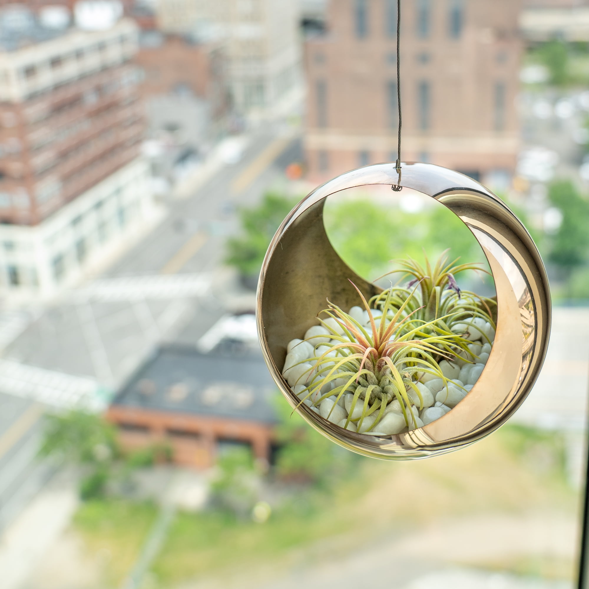 Modern Stainless Steel Hanging Planter Contemporary Sphere Pot Indoor Flower