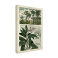 thumbnail image 2 of Trademark Fine Art 'Journal of the Tropics I' Canvas Art by Vision Studio, 2 of 4