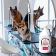 thumbnail image 5 of Groomer Essentials Berry Clean Dog Shampoo Gallon, 5 of 7