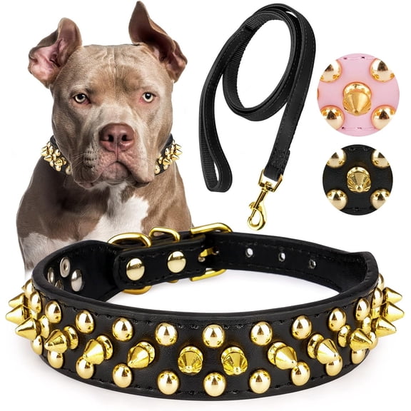 Golden Spike Collar for Dogs,With traction rope Spiked Dog Collar, Durable PU Leather Studded Dog Collar with Leash, Funny Mushrooms Rivet Small Puppy Pet Cat Adjustable Collar 1Pack