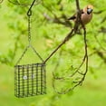 thumbnail image 4 of Set of 2 Iron Hanging Bird Feeder Suet Cakes Feeder Accessories for Birds Cola comedero exterior, 4 of 8