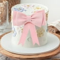 thumbnail image 3 of NOGIS 2 Pcs Oversized Bow Birthday Cake Toppers Princess Cake Topper Wedding Cake Pick Women EVA Foam Bowknot Cake Decorations for Kit Bows Theme Baby Shower Birthday Wedding Party Decor Pink, 3 of 7
