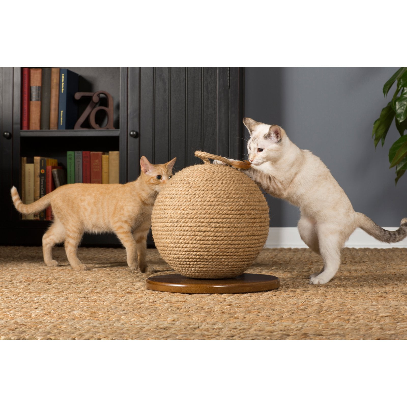 Ulv i fåretøj digital princip Prevue Pet Kitty Power Paws Sphere with Tassel Cat Toy - Walmart.com