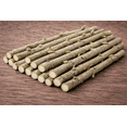 thumbnail image 4 of Purple Continental Willow Cuttings for Planting - Vibrant Purple Bark Willow | Fast Growing Ornamental Shrub | Live Dormant Hardwood Starts (2 Cuttings), 4 of 6