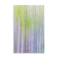 thumbnail image 2 of Gango Home Decor Forest Blur II by Kathy Mahan (Printed on Paper); One 24x36in Fine Art Paper Giclee Print, 2 of 4