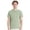 Equilibrium Green, variant on Hanes Perfect-T T-Shirt Short Sleeve Crewneck Tee Shirts for Men (Black, M)