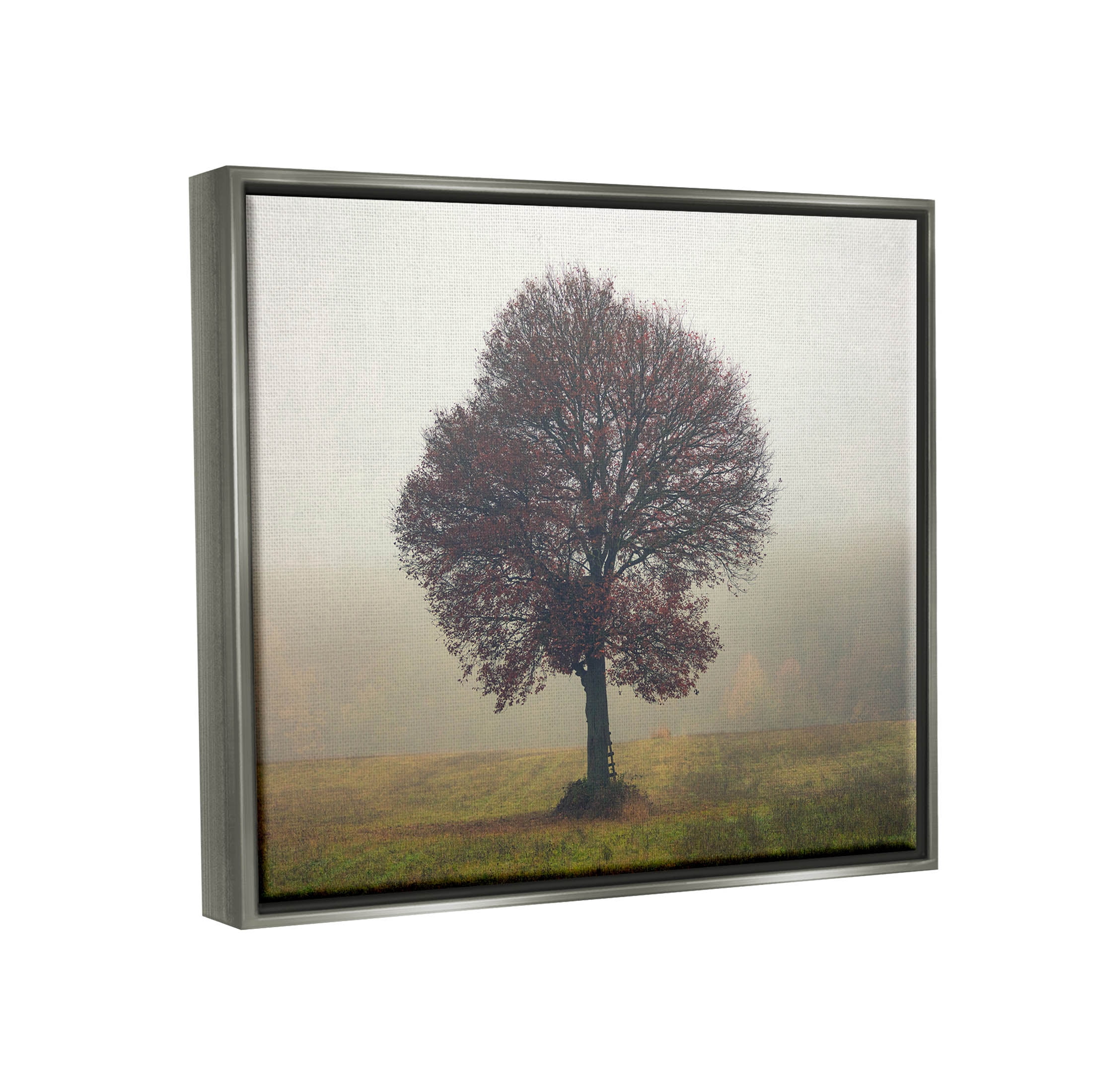 Stupell Industries Lone Tree Rural Grassland Photograph Luster Gray Floating Framed Canvas Print Wall Art, Design by Igor Vitomirov
