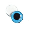 thumbnail image 4 of Blue Snow Owl Glass Eyes, 4 of 7